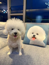 將圖片載入圖庫檢視器 比熊方形咕𠱸送禮物