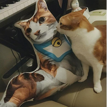 將圖片載入圖庫檢視器 客製貓咪插畫3D立體Cushion