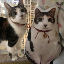 將圖片載入圖庫檢視器 客製貓貓die cut抱枕