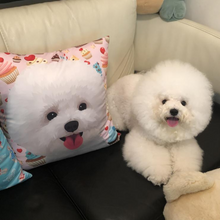 將圖片載入圖庫檢視器 客製比熊方形cushion咕臣