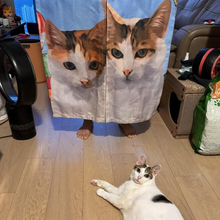 將圖片載入圖庫檢視器 客製化禮物貓咪似眼繪門簾