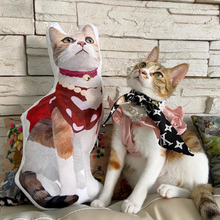 將圖片載入圖庫檢視器 客製貓咪3D立體咕𠱸