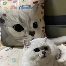 將圖片載入圖庫檢視器 客製貓貓似顏繪咕臣