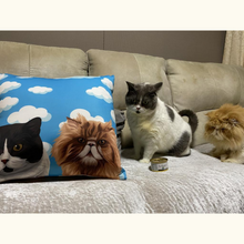 將圖片載入圖庫檢視器 來圖訂製貓咪插畫cushion