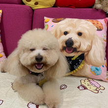 將圖片載入圖庫檢視器 來圖訂製寵物插畫cushion