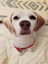 將圖片載入圖庫檢視器 來圖訂製狗似顏繪3D立體咕𠱸