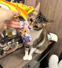 將圖片載入圖庫檢視器 客製化禮物貓咪似顏繪公仔鎖匙扣