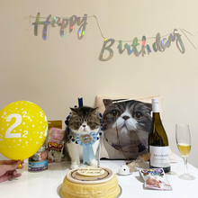 將圖片載入圖庫檢視器 客製異短貓寵物插畫抱枕