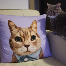 將圖片載入圖庫檢視器 貓寵物插畫cushion客製貓