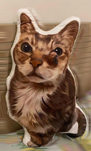 將圖片載入圖庫檢視器 客製化禮物貓咪3D立體Cushion