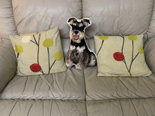 將圖片載入圖庫檢視器 客製化禮物史納莎3D立體Cushion