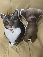 將圖片載入圖庫檢視器 來圖訂製毛孩似顏繪3D立體抱枕