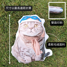 將圖片載入圖庫檢視器 客製3D立體Cushion規格