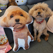 將圖片載入圖庫檢視器 客製化貴婦狗插畫3D立體咕𠱸