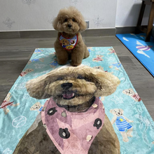 將圖片載入圖庫檢視器 客製貴婦狗插畫珊瑚絨被