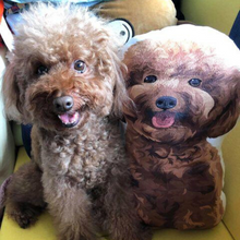 將圖片載入圖庫檢視器 客製貴婦狗似顏繪異形抱枕