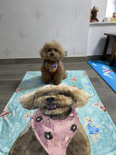 將圖片載入圖庫檢視器 客製化Poodle似顏繪珊瑚被