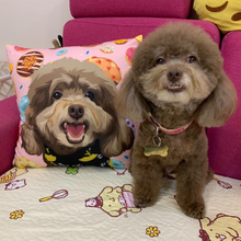將圖片載入圖庫檢視器 來圖訂製Poodle插畫cushion