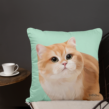 將圖片載入圖庫檢視器 【現有圖案訂製】方形咕𠱸