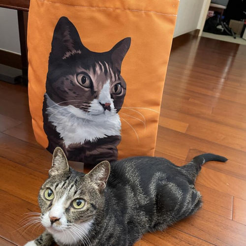 客製化禮物貓貓似顏繪單肩Totebag