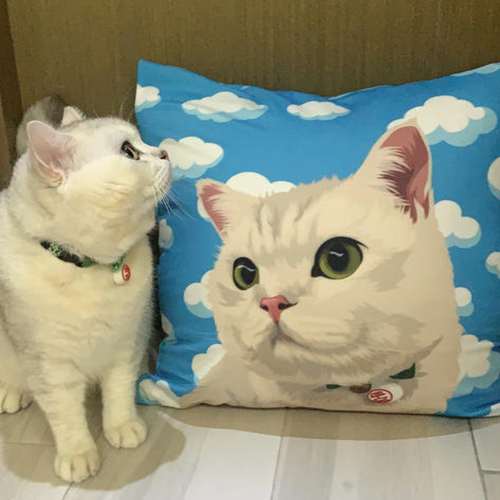 客製化禮物 方形cushion